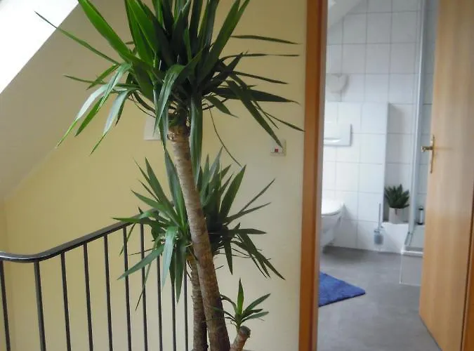 Lenzer Parkblick Am Plauer * Lenz